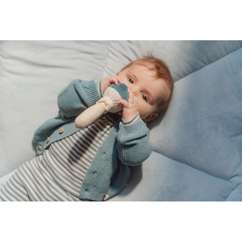 Little Dutch Forest Friends 8901 Grasping Toy Mushroom Blue