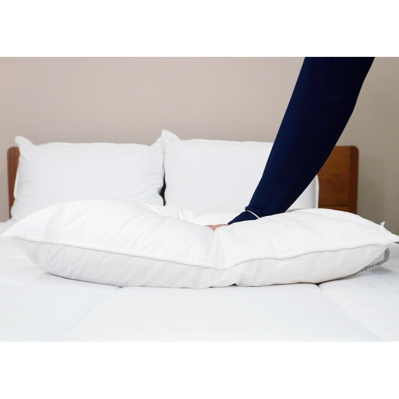 Pillowtex Kyoto Pillow - Half Buckwheat & Half Polyester -