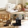 ZOMISIA Gravity Cat Feeder and Water Dispenser, 2 in 1