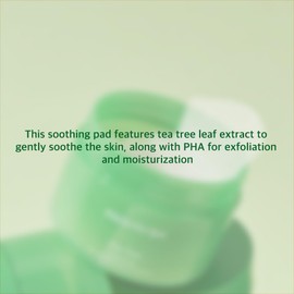 Papa Recipe Tea Tree Control Pad 70pads, Dual-Textured Facial Toner Pads for Exfoliation and Pore Care, Improve Skin Texture, Korean Skincare