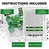 1000+ Georgia Southern Collard Greens Seeds for Planting - Heirloom,