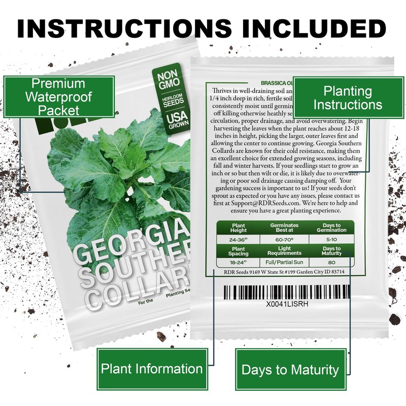 1000+ Georgia Southern Collard Greens Seeds for Planting - Heirloom,