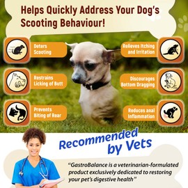 Gastrobalance dog scooting treatments - Natural scoot stopper for itching dog - 60 tasty soft chews to stop dog scooting (Chicken flavour)