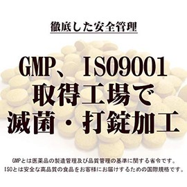 屋久島春ウコン粒（300粒）3袋セット 無農薬・無化学肥料 [M便 1/1]