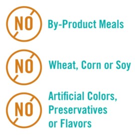 Chicken Soup For The Soul Pet Food Classic Dry Small Bites Adult Dog Food, Beef & Brown Rice Recipe, 4.5 Pound Bag, Soy Free, Corn Free, Wheat Free, Small Breed Dog Food Made with Real Ingredients