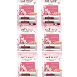 Salt Range 4 packs (8) Himalayan Pink Salt Lip Balm - Cherry and Shea Butter