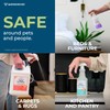 Wondercide - Indoor Pest Control Spray for Home and Kitchen