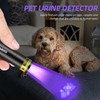 DARKBEAM UV Flashlight 365nm Light and 395nm Blacklight, Mini Powerful