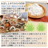 ヘルシーカンパニー オーガニック アガベ イヌリン (水溶性食物繊維)５００ｇ 有機