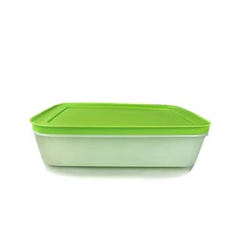 TUPPERWARE D21 Freezer Mates Medium Low 1,0 L Green 14168