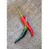 Black Cobra Goats Weed Chile Heirloom Pepper Premium Seeds for