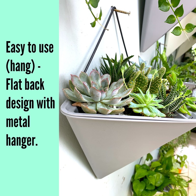 LaLaGreen Succulent Wall Planters - 2 Pack, 12 Inch Large