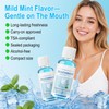 Kocpudu Travel-Sized Mouthwash Bulk, Mint Flavor (10-Pack)