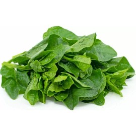 50+Green Malabar Spinach seeds MongToi Mu er cai Ceylon spinach Vine Spinach USA