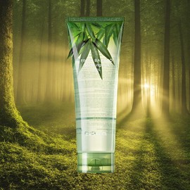 The Saem Aloe Soothing Aloe Gel Fresh Bamboo Soothing Gel 250ml 1ea / 더샘 알로에수딩 알로에젤 프레쉬 뱀부 수딩젤 250ml 1개