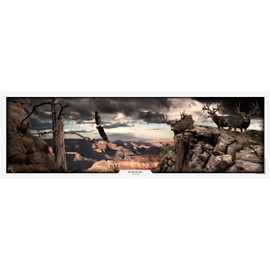 The KING Company Mule Deer Print by Robert King