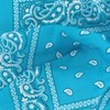 Laciteinterdite Set of 3 Paisley Bandanas for Men and Women,