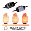 Venforze Himalayan Salt Lamp Cord Replacement with Dimmer Switch and
