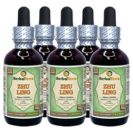 Zhu Ling (Polyporus Umbellatus) Glycerite, Dried Mushroom Alcohol-Free Liquid Extract (Brand Name: HerbalTerra, Proudly Made in USA) 5x2 fl.oz (5x60 ml)