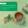 Wissotzky Nana Mint Ginger & Citrus Herbal Tea, 20 Tea