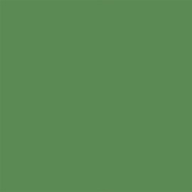 Rust-Oleum 249072 Painter's Touch 2X Ultra Cover, 12 Ounce (Pack of 1), Satin Leafy Green