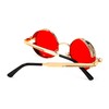 FEISEDY Retro Gothic Steampunk Sunglasses Round Metal Frame Punk Circle