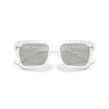 A|X ARMANI EXCHANGE Men's AX4147S Square Sunglasses, Shiny Crystal/Light Grey