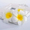 Zoestar Hawaii Plumeria - Horquillas para el pelo (3 unidades,
