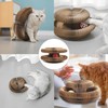 Kitty Curlz, Kitty Curlz Cat Toy - Magic Organ Cat