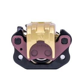 Hydraulic Brake Caliper, Front Left 200 / Mid