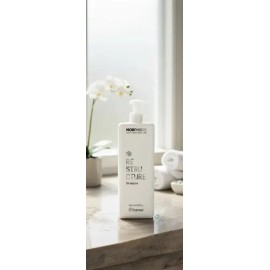 Shampoo Restructure Revitaliza Framesi Morphosis 1000 Ml                                                                                              