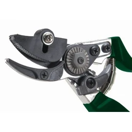 Burgon & Ball RHS Endorsed Rose Pruner, 20 cm Length