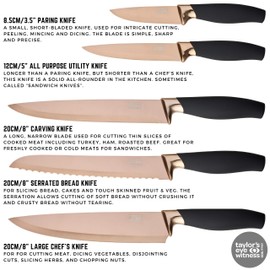 5pc Kitchen Knife Set & Block - Brooklyn by Taylors Eye Witness. Rose Gold Coloured Bolsters, Finely Ground Razor Sharp Titanium Coated Matching Blades. Soft Grip Handles. Modern Fan Shaped Holder.