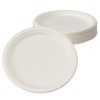 Sunup Sugarcane Pulp Mold, 50 Sheets Paper Plates, Safe Quality,