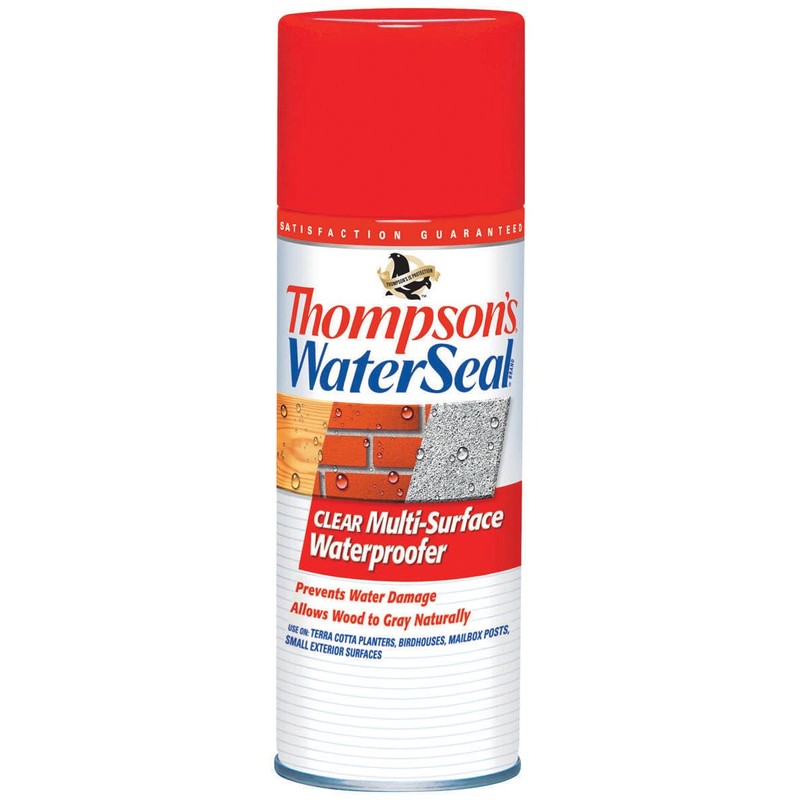 Thompson's Waterseal Clear Water-Based Multi-Surface Waterproofer 12 Oz. - Case