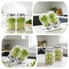 2 Pack Sprouting Lids for Wide Mouth Mason Jars, Reusable