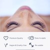 CLARA COSMETICS Premium 3D Eyelashes Glam Natural Look Transparent Band