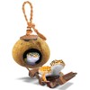 SunGrow Leopard Gecko Coconut Husk Hut with Ladder, with Shell