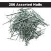 250pk Hardware Assorted Nails Set