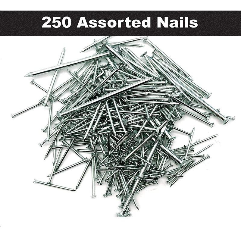 250pk Hardware Assorted Nails Set