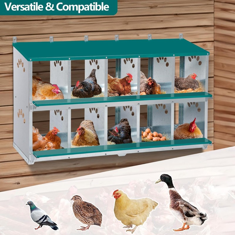 Toriexon Chicken Nesting Box, 10 Compartment Nesting Box, 10 Room