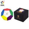 FunnyGoo YuXin HuangLong 5x5 Dodecahedron 12 Surface Gigaminx Megaminx 5x5x12