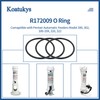 Koatukys 3 PCS R172009 O-283 O-Ring Replacement Compatible with Pentair