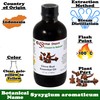Essential Depot Clove Bud Essential Oil - 4 oz -