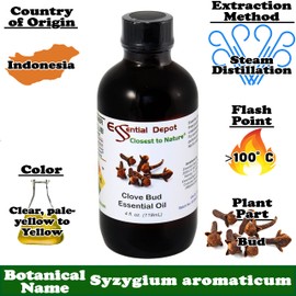 Essential Depot Clove Bud Essential Oil - 4 oz - GC/MS Tested - Supplied in 4 oz. Amber Glass Bottle with Black Phenolic Cone Lined and Safety Sealed Cap