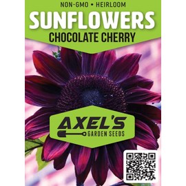 Sunflower Seeds for Planting – Plant & Grow Heirloom Chocolate Cherry Sunflowers in Home Outdoor Garden - Planting Instructions for Vibrant Blooms - Great Gardening Gift, 2 Packets