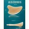刮痧板High Quality Gua Sha Tools Facial Scrapping Plate Acupoint Pressing