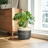 9.8 Inch Planter, Ceramic Planter, Round Pot for Plants, Light
