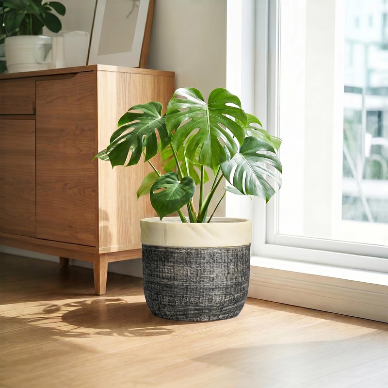 9.8 Inch Planter, Ceramic Planter, Round Pot for Plants, Light