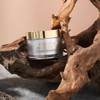Hanganic 대용량 오리지널 스네일크림 100g 2배용량 업 달팽이크림 Large Capacity